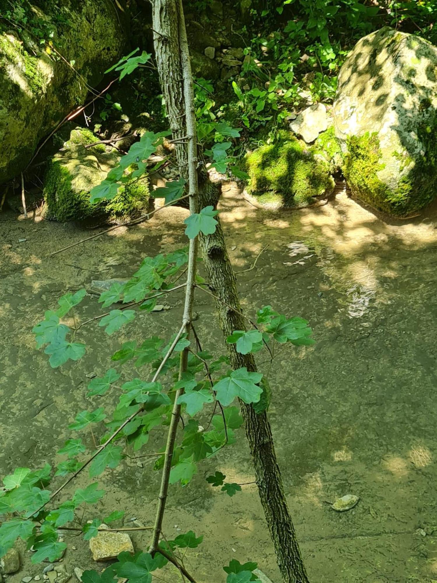 Alloggio Petrigh Canal di Grivo 외부 사진