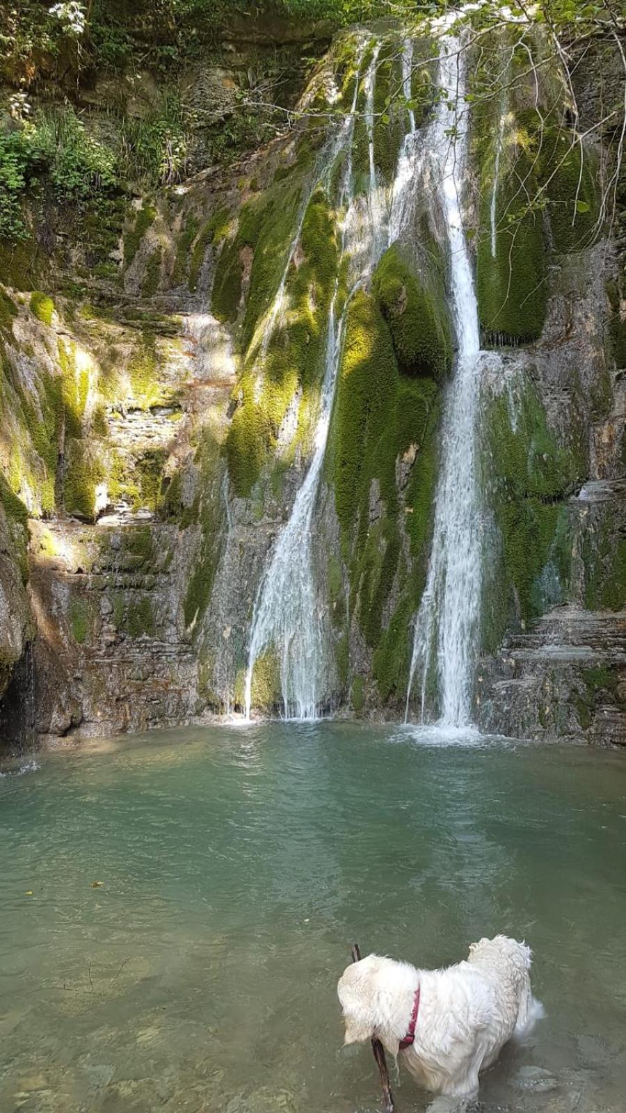 Alloggio Petrigh Canal di Grivo 외부 사진